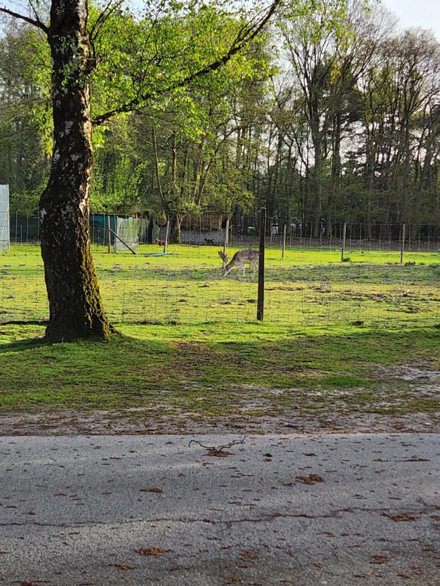 Bungalow Willerby Maasmechelen Buitenkant foto